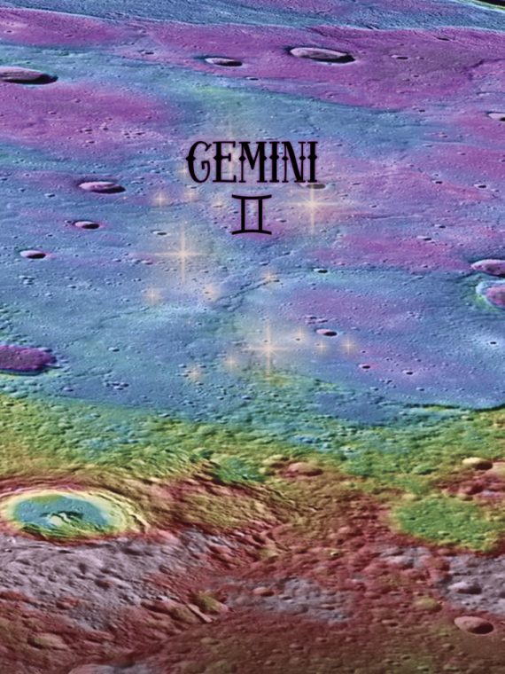 Star leotard *Gemini*